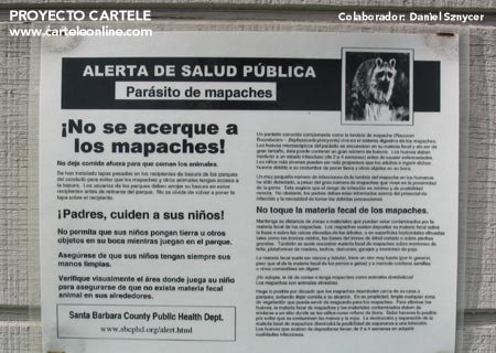 5168.jpg
