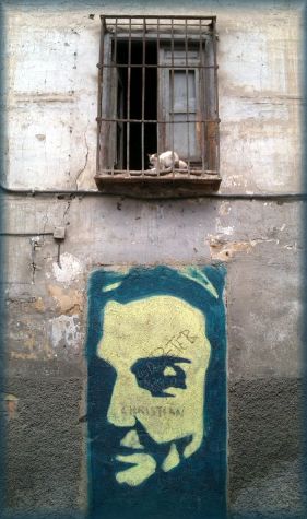 Grafitti-Gato-Granada.jpg
