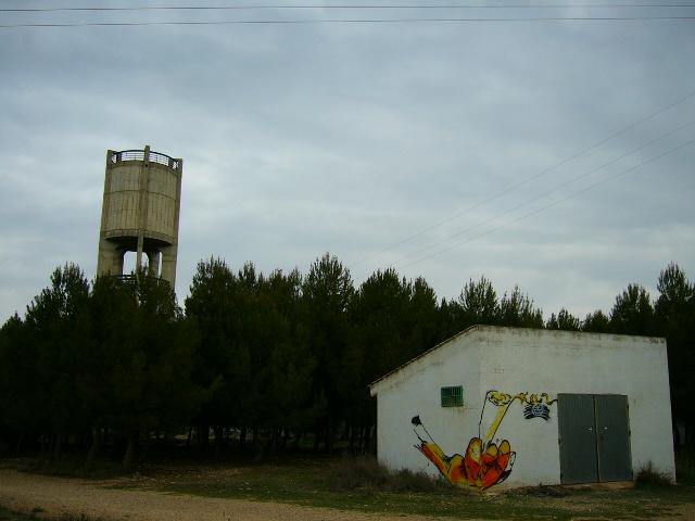 P1010468.JPG